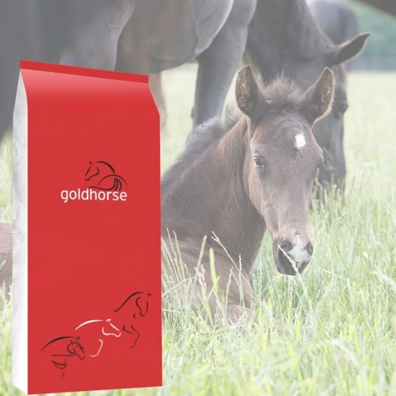 Goldhorse Born&Grow, 20 kg-os kiszerelés, rendelés: 20-100 kg-ig