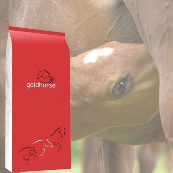 Goldhorse Born&Grow + Hummovet, 20 kg-os kiszerelés, rendelés: 101-1000 kg-ig